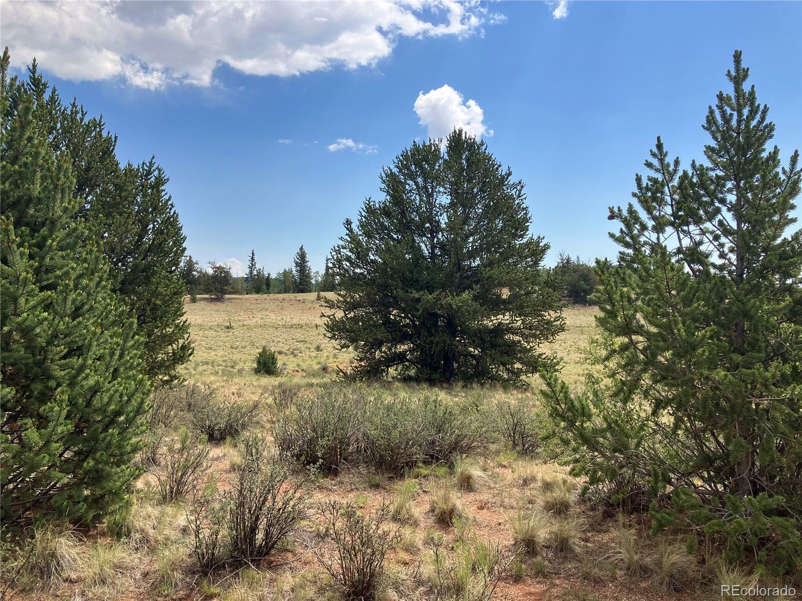 1344 Silverheels Road Fairplay CO 80440