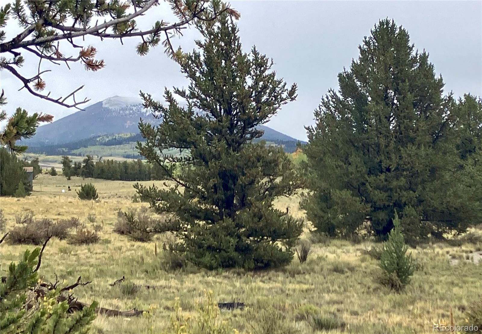 1344 Silverheels Road Fairplay CO 80440