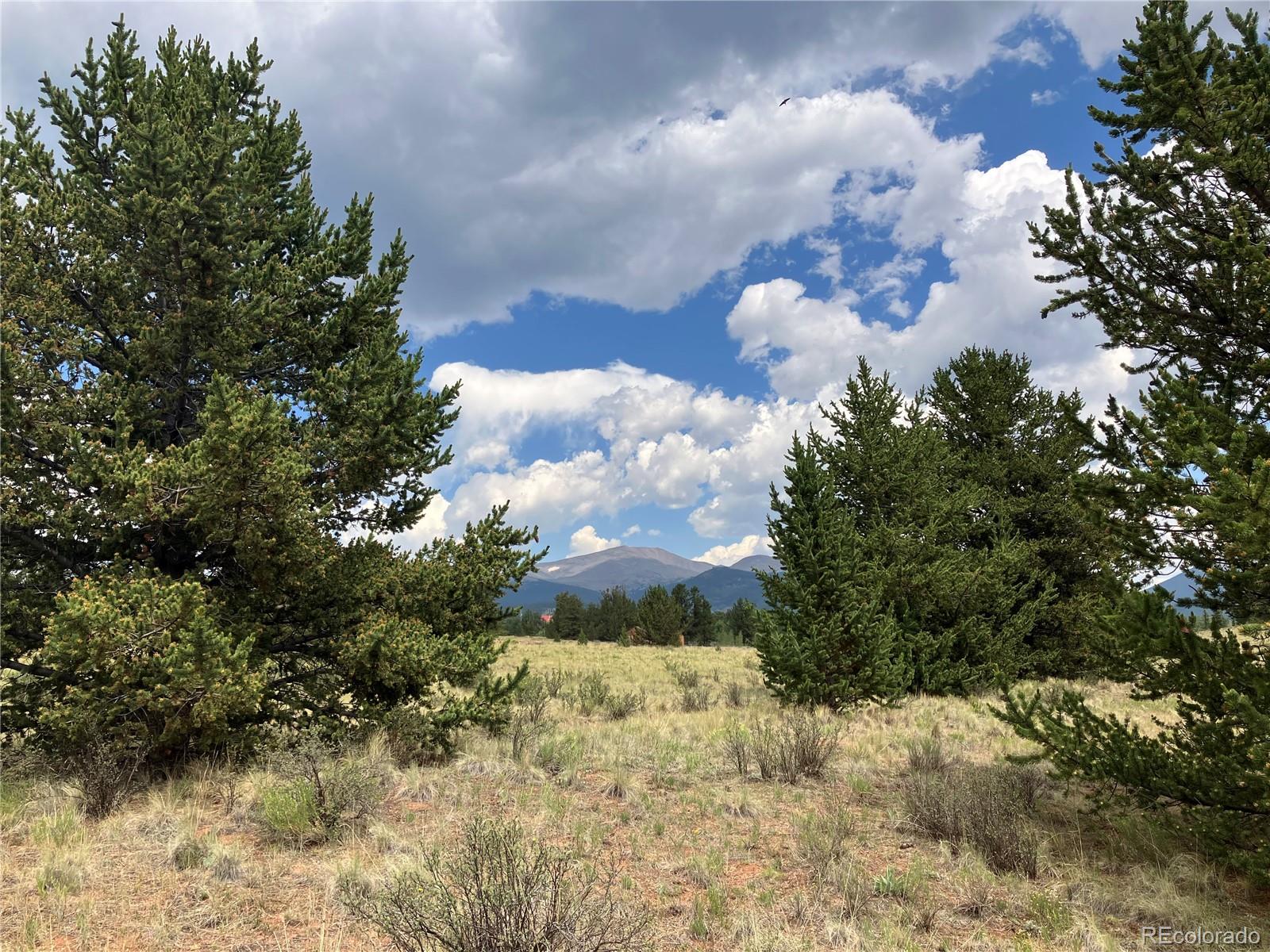 1344 Silverheels Road Fairplay CO 80440