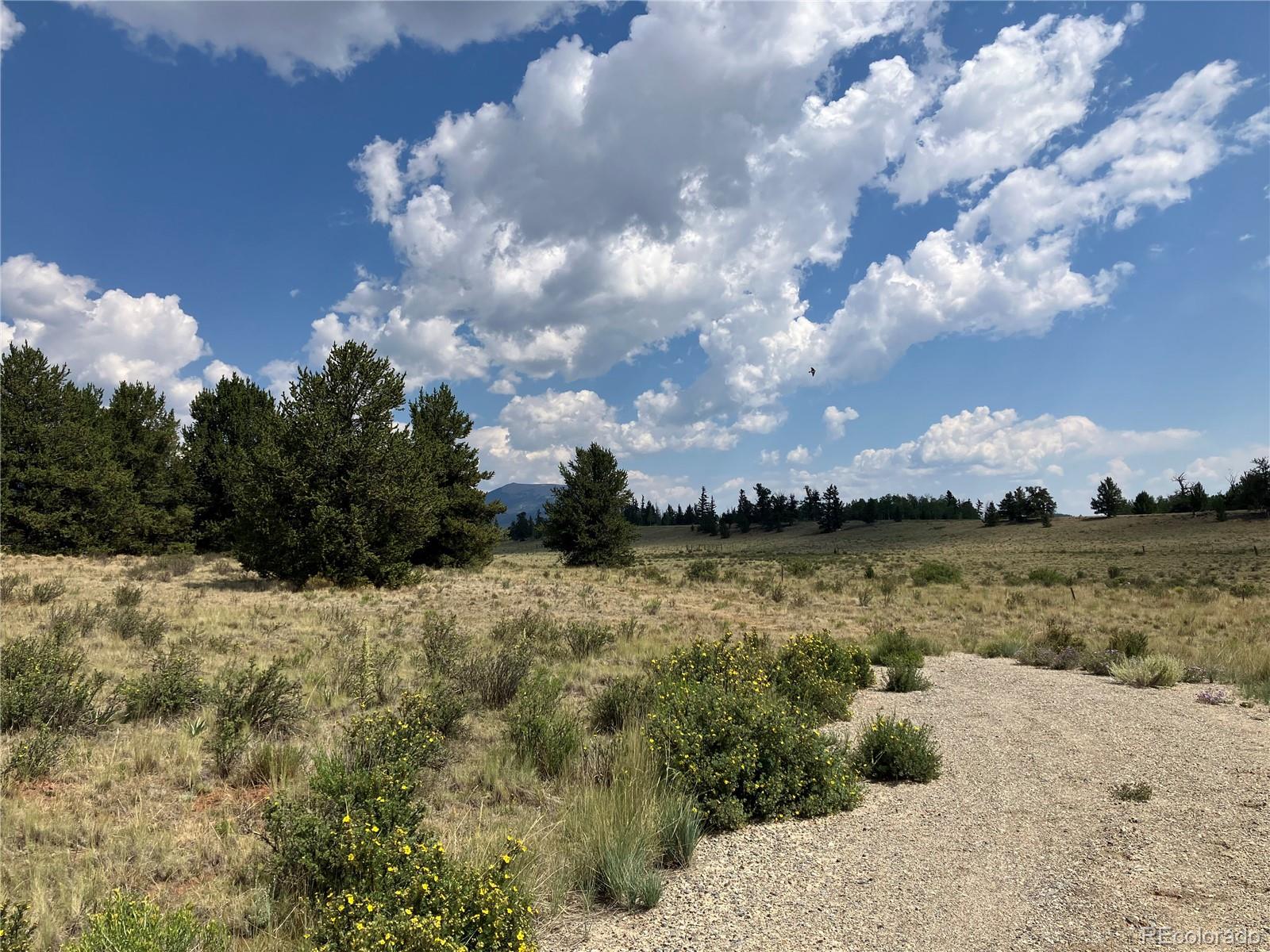 1344 Silverheels Road Fairplay CO 80440