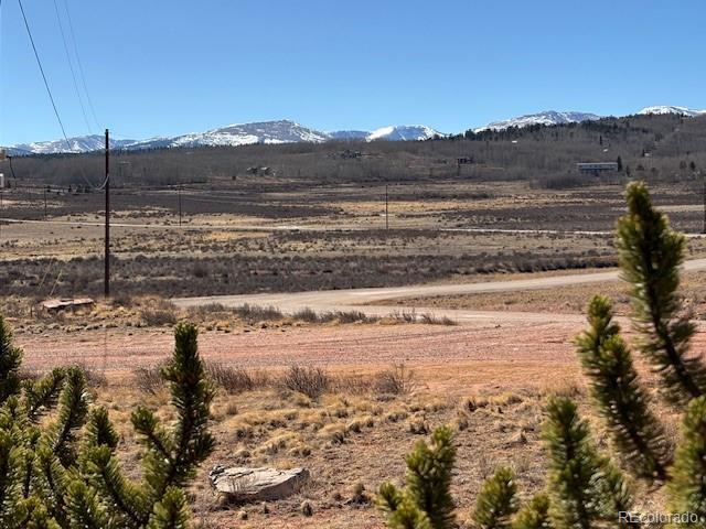 1344 Silverheels Road Fairplay CO 80440