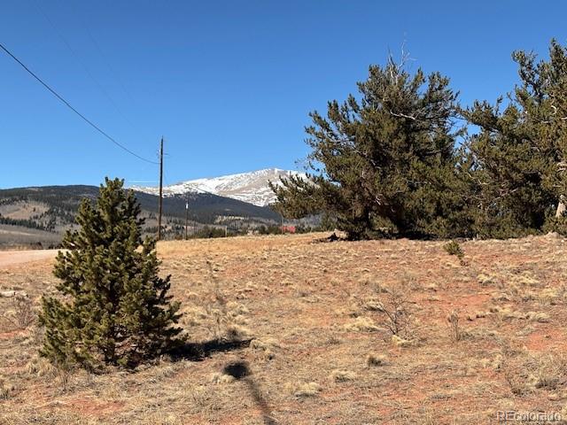 1344 Silverheels Road Fairplay CO 80440