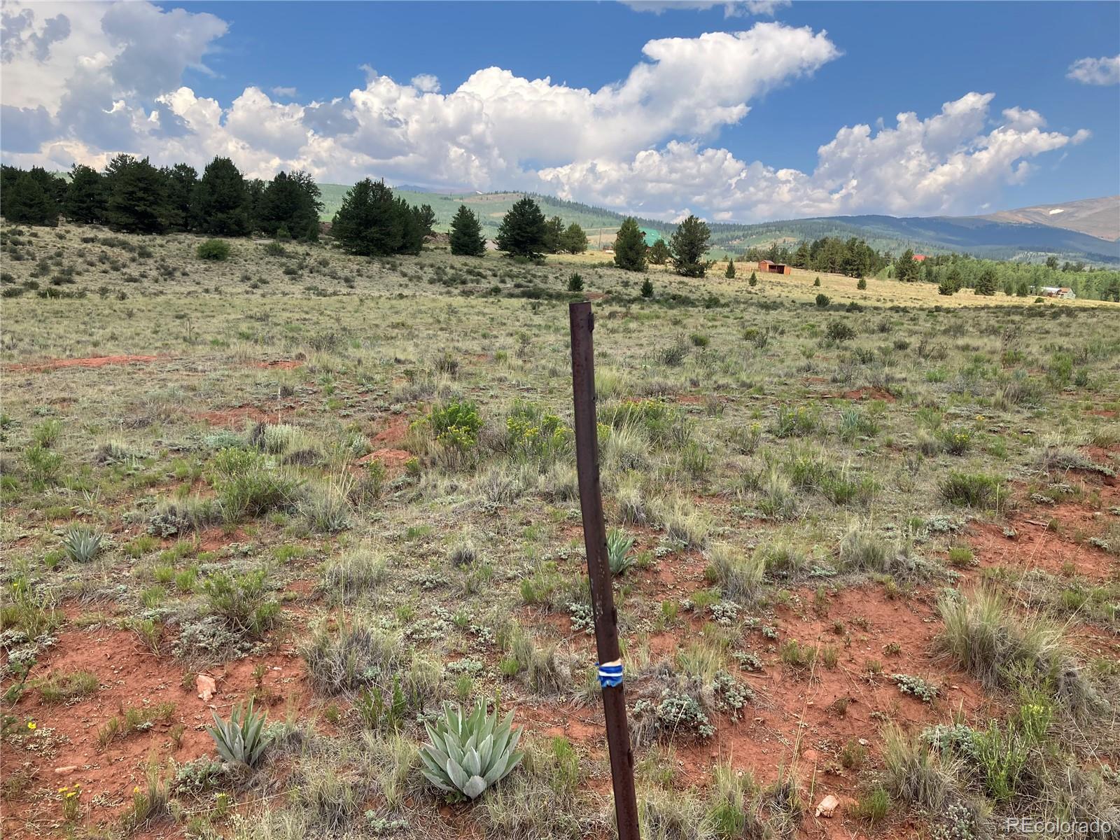 1344 Silverheels Road Fairplay CO 80440