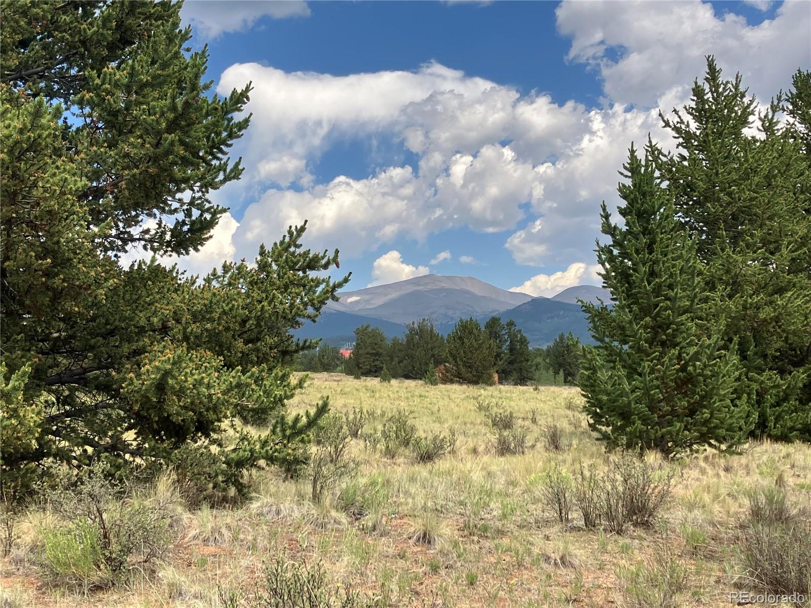 1344 Silverheels Road Fairplay CO 80440