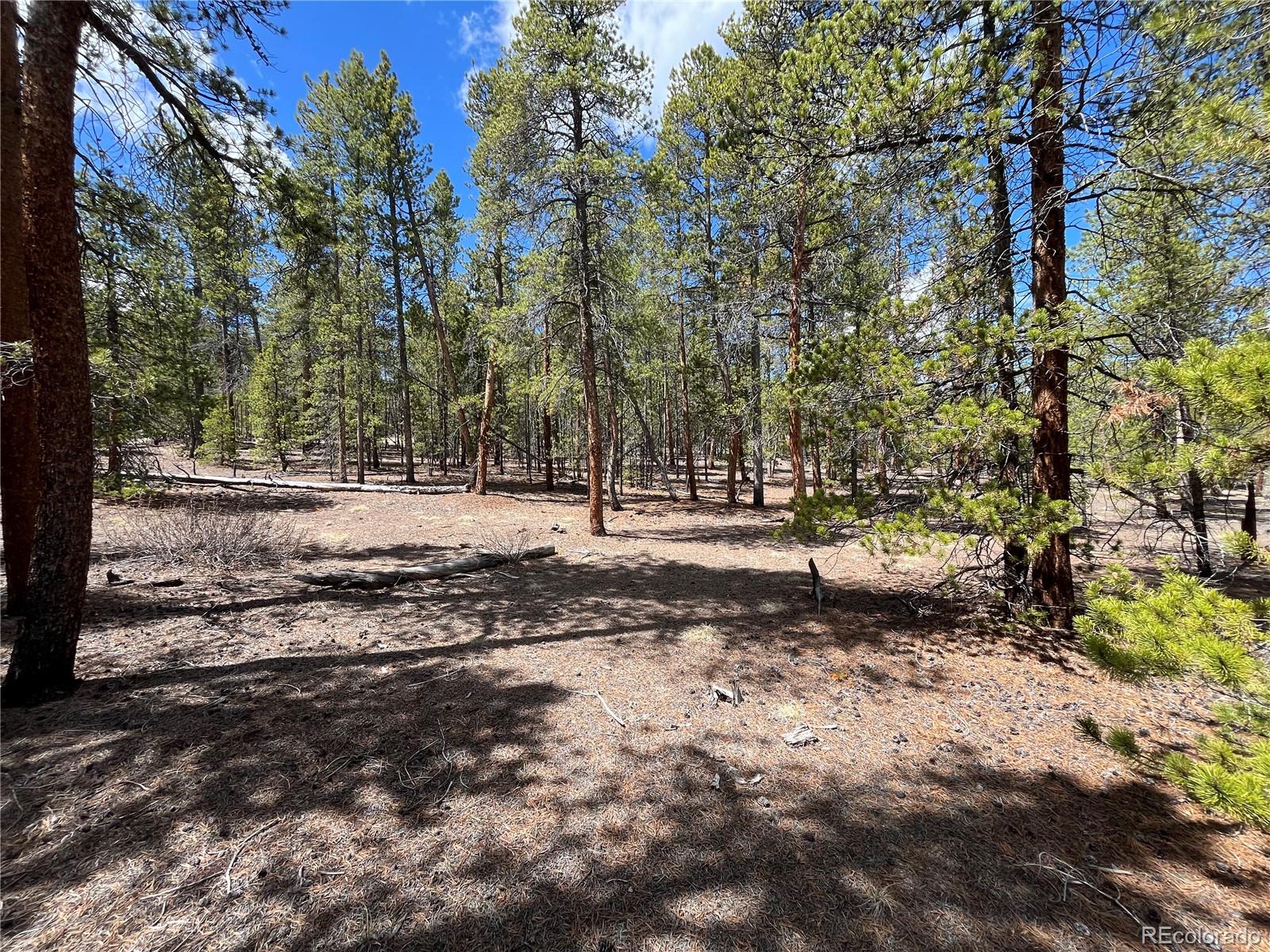 1013 Sequoia Drive Twin Lakes CO 81251