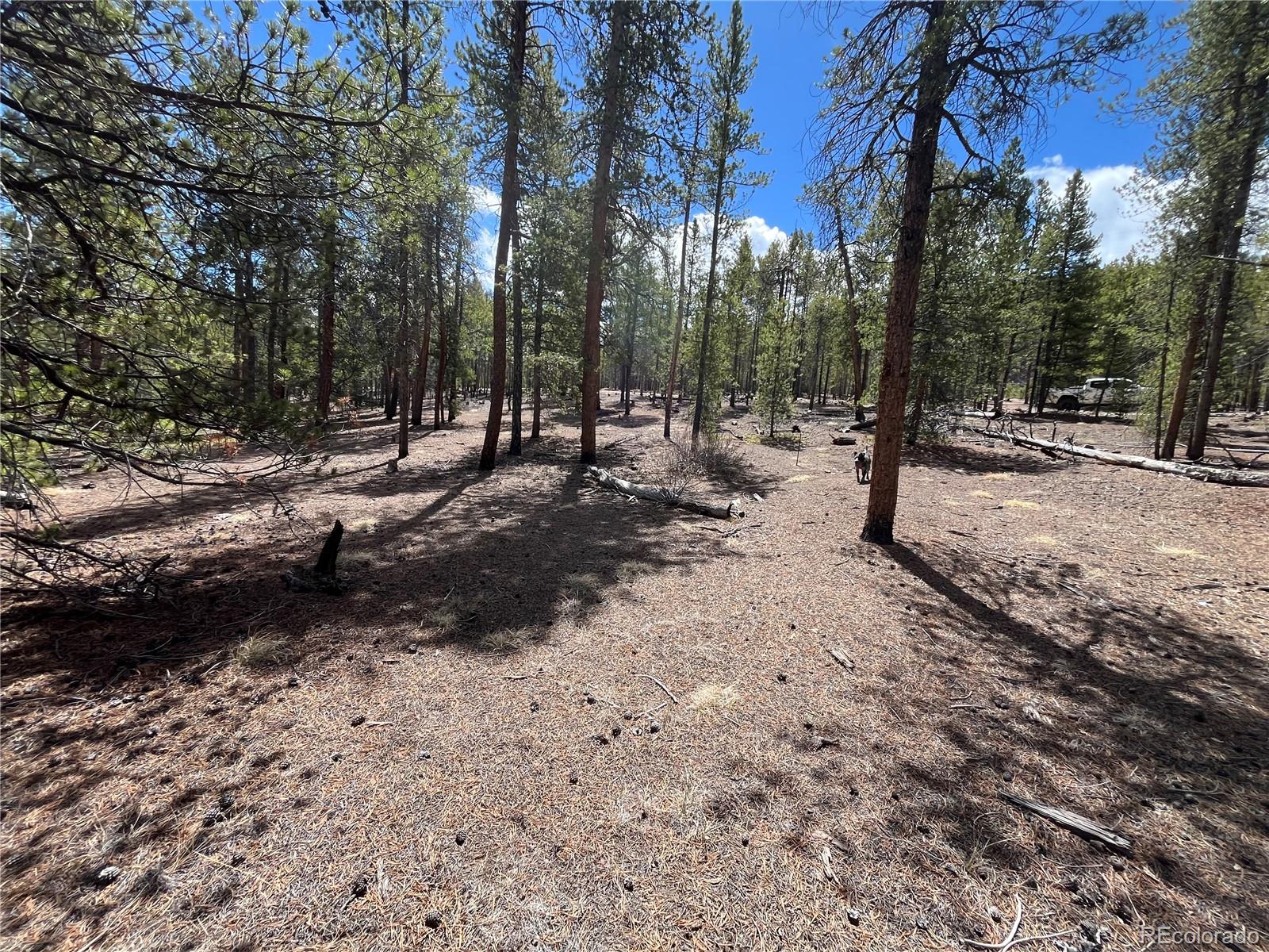 1013 Sequoia Drive Twin Lakes CO 81251