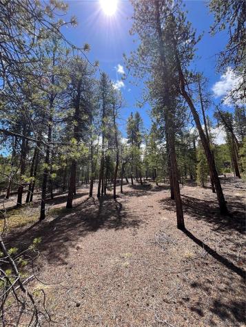 1013 Sequoia Drive Twin Lakes CO 81251