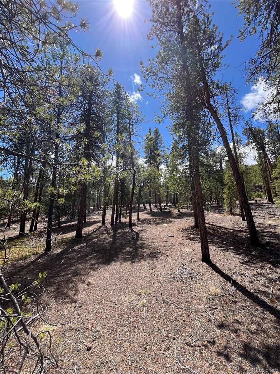 1013 Sequoia Drive Twin Lakes CO 81251