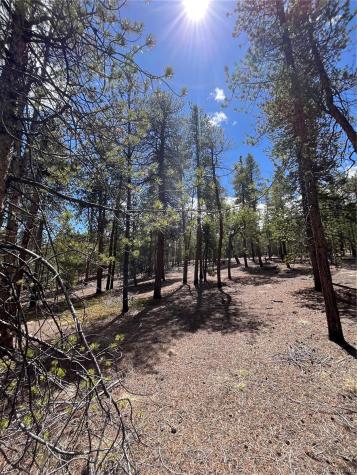 1013 Sequoia Drive Twin Lakes CO 81251
