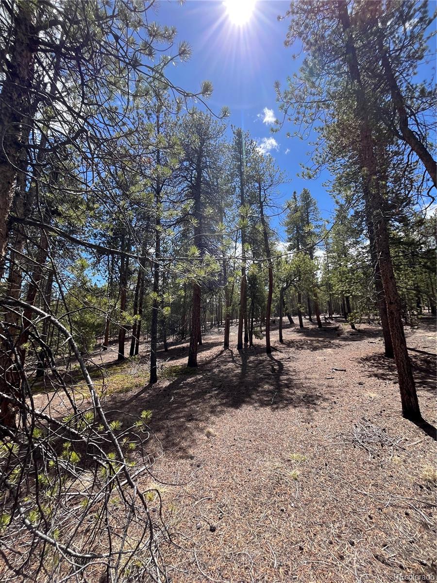 1013 Sequoia Drive Twin Lakes CO 81251