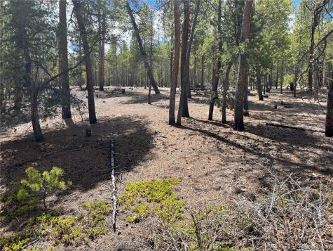 1013 Sequoia Drive Twin Lakes CO 81251