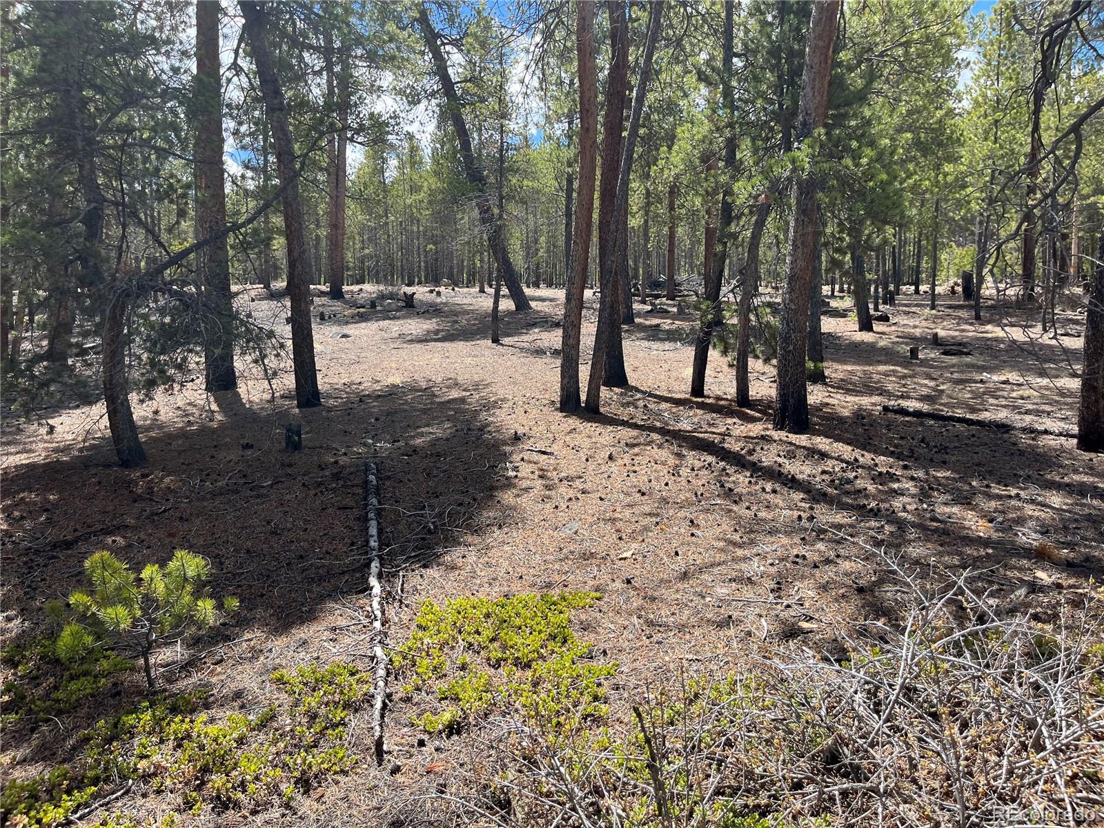 1013 Sequoia Drive Twin Lakes CO 81251