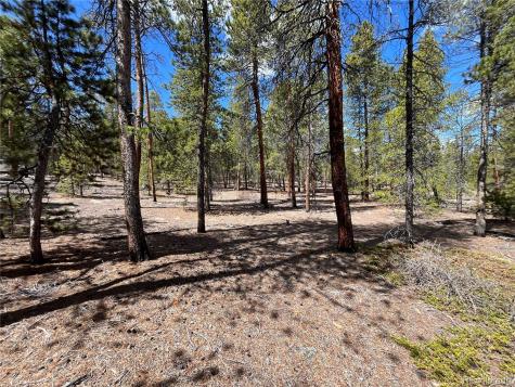 1013 Sequoia Drive Twin Lakes CO 81251