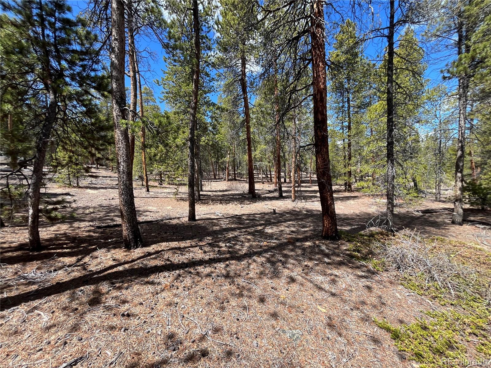 1013 Sequoia Drive Twin Lakes CO 81251