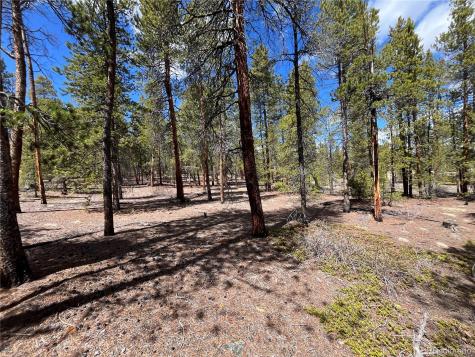 1013 Sequoia Drive Twin Lakes CO 81251