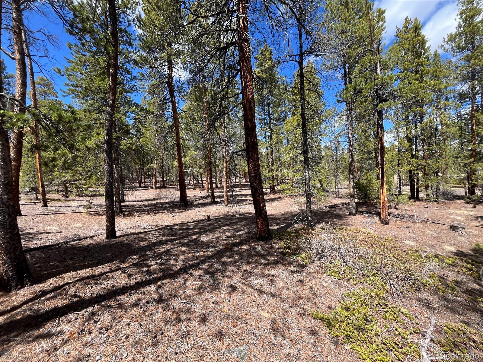 1013 Sequoia Drive Twin Lakes CO 81251