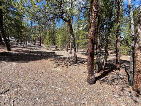 1013 Sequoia Drive Twin Lakes CO 81251