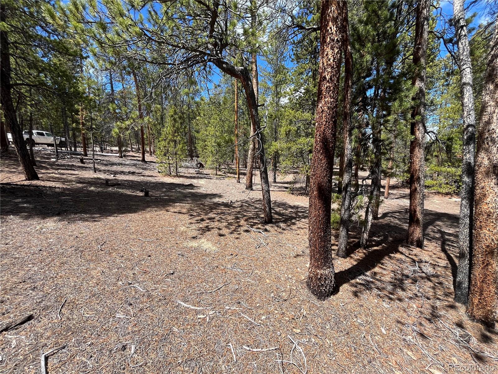 1013 Sequoia Drive Twin Lakes CO 81251