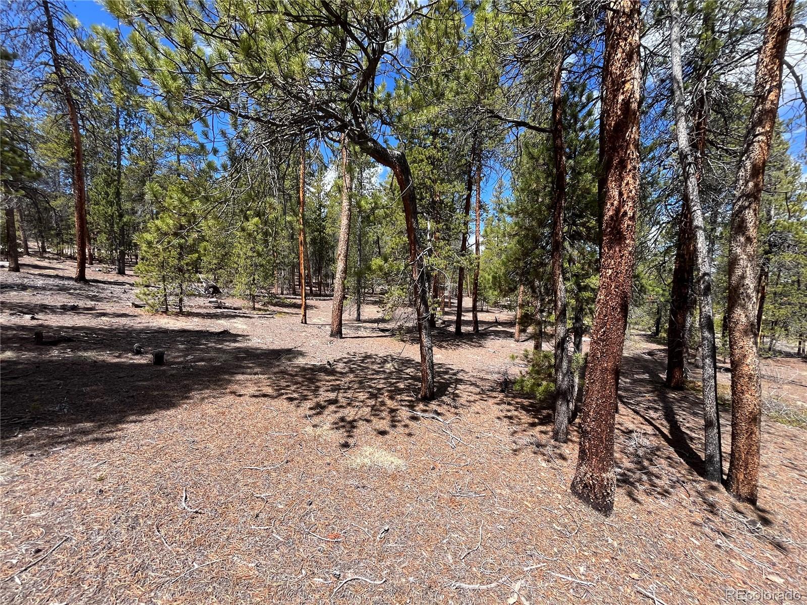 1013 Sequoia Drive Twin Lakes CO 81251