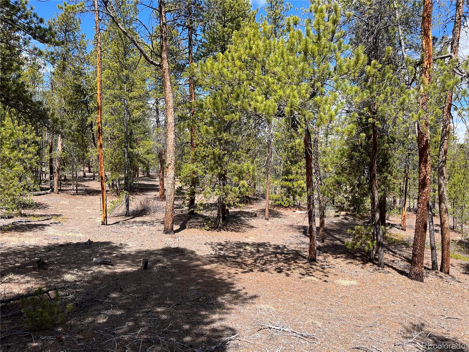 1013 Sequoia Drive Twin Lakes CO 81251