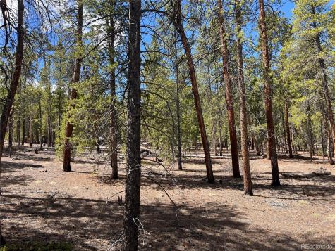 1013 Sequoia Drive Twin Lakes CO 81251