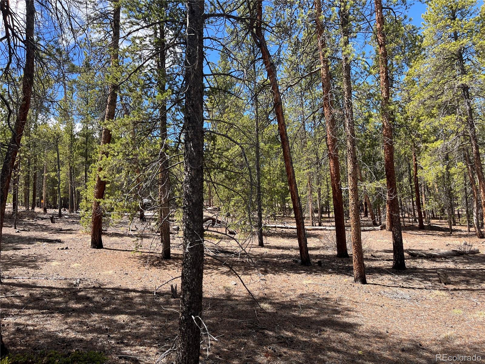 1013 Sequoia Drive Twin Lakes CO 81251
