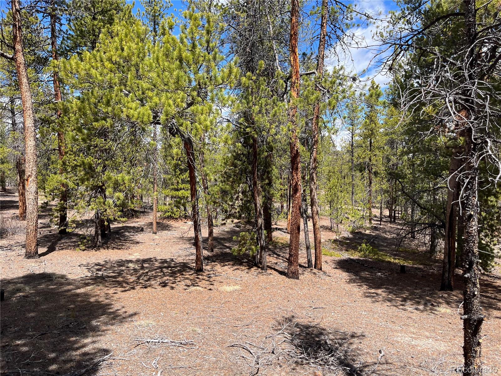 1013 Sequoia Drive Twin Lakes CO 81251