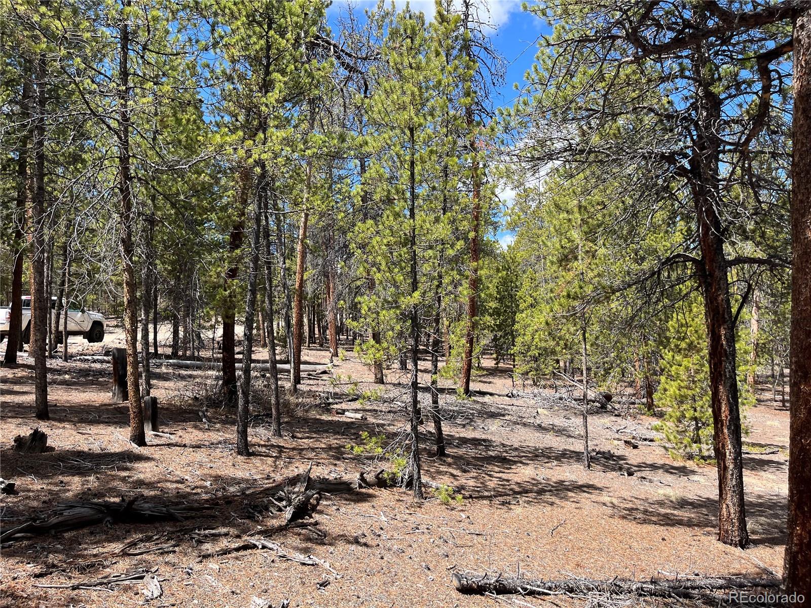 1013 Sequoia Drive Twin Lakes CO 81251