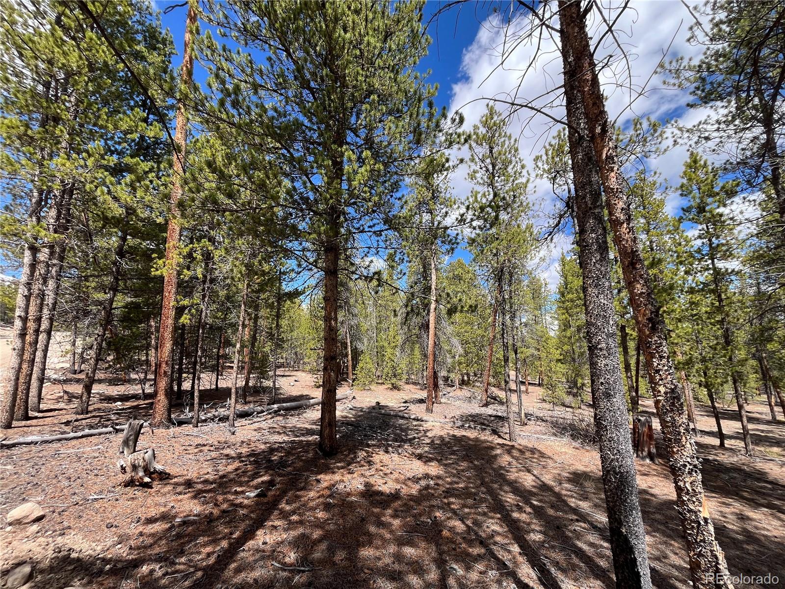 1013 Sequoia Drive Twin Lakes CO 81251