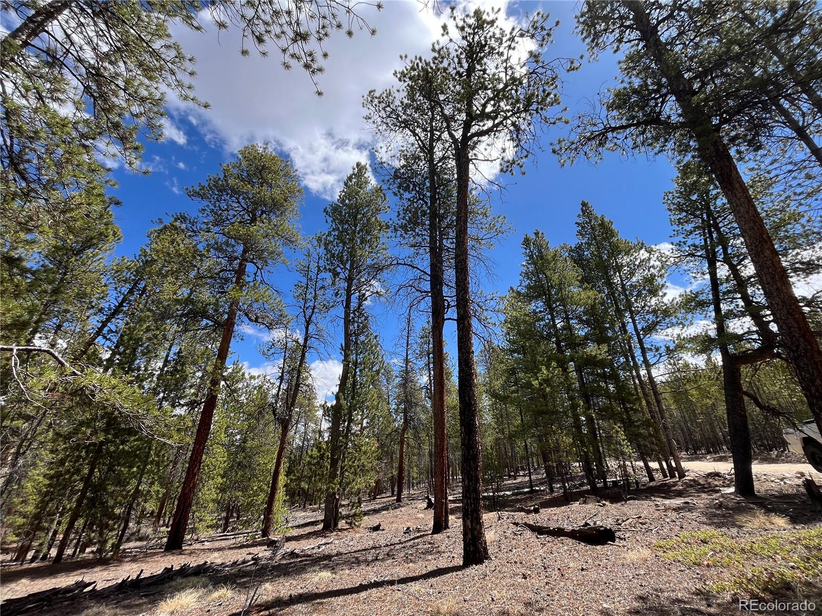 1013 Sequoia Drive Twin Lakes CO 81251