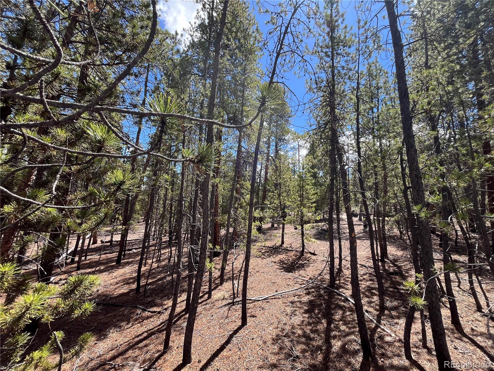 1013 Sequoia Drive Twin Lakes CO 81251