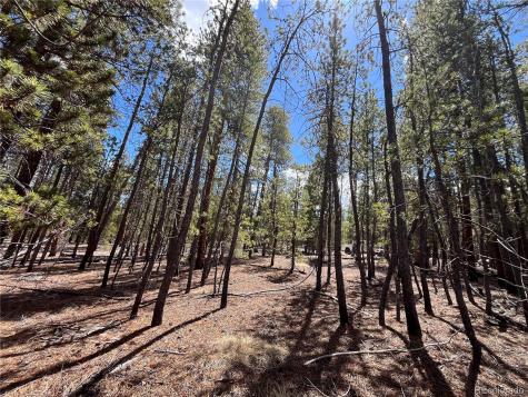 1013 Sequoia Drive Twin Lakes CO 81251