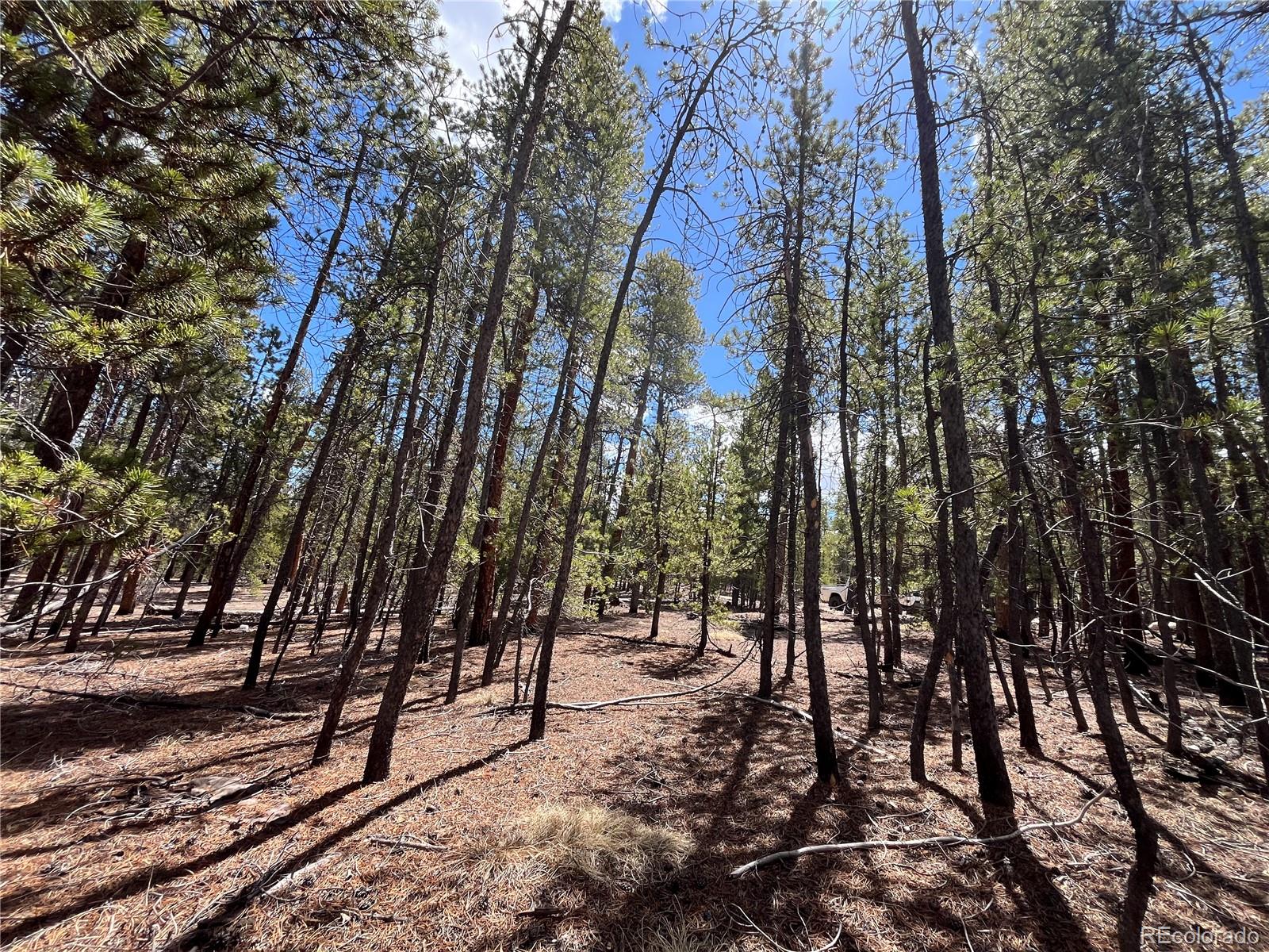 1013 Sequoia Drive Twin Lakes CO 81251