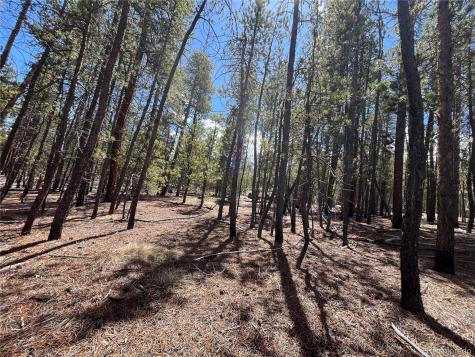 1013 Sequoia Drive Twin Lakes CO 81251