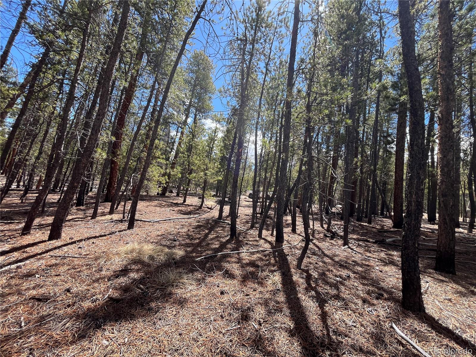 1013 Sequoia Drive Twin Lakes CO 81251