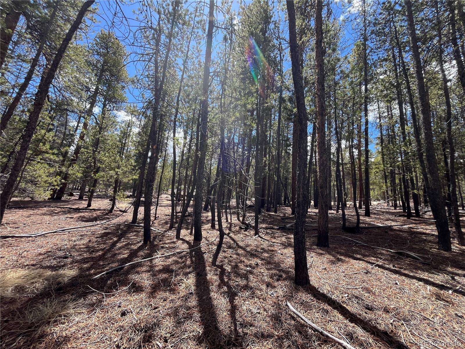 1013 Sequoia Drive Twin Lakes CO 81251