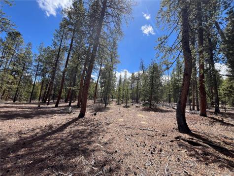 1013 Sequoia Drive Twin Lakes CO 81251