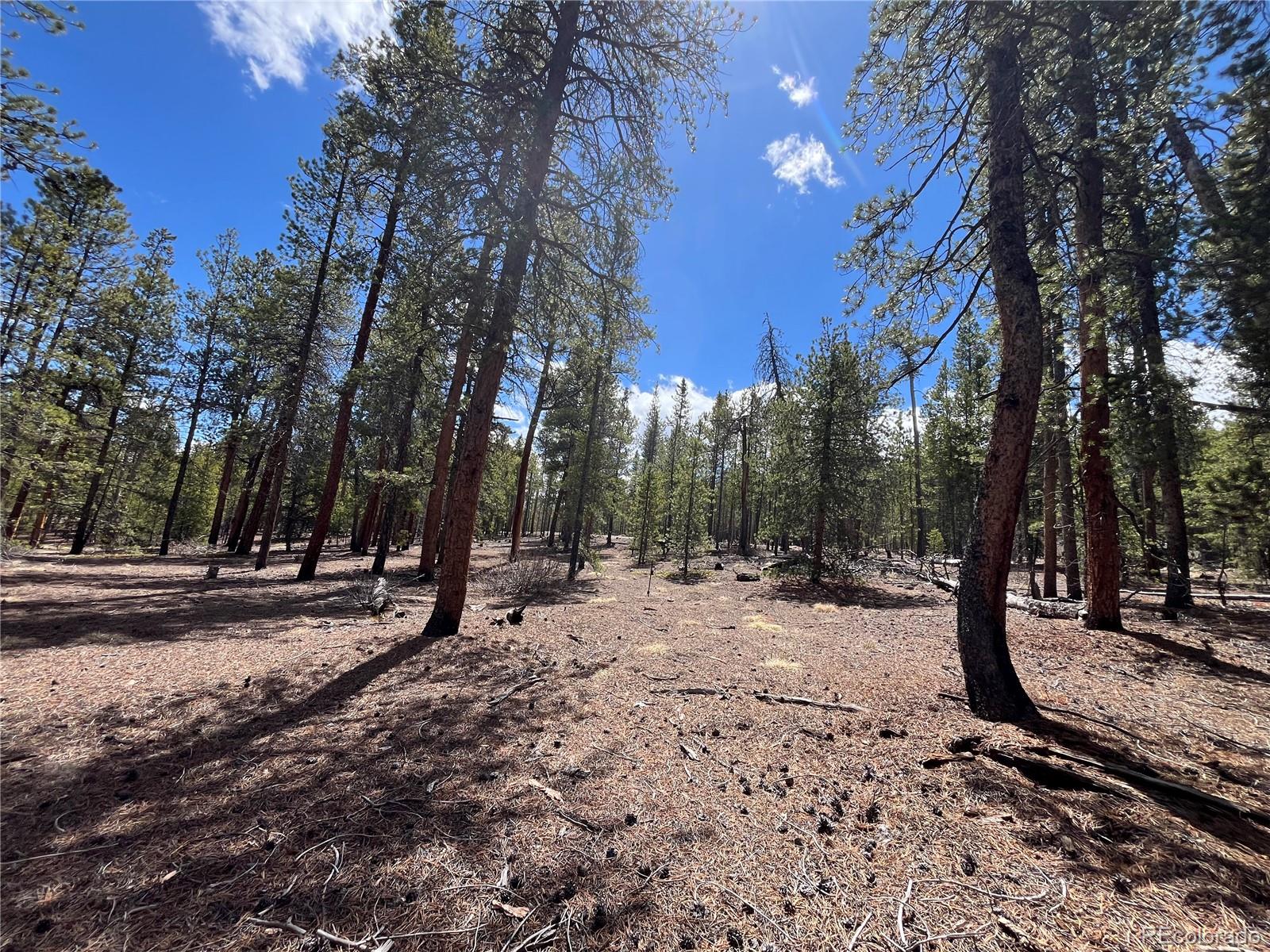1013 Sequoia Drive Twin Lakes CO 81251