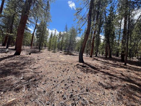 1013 Sequoia Drive Twin Lakes CO 81251