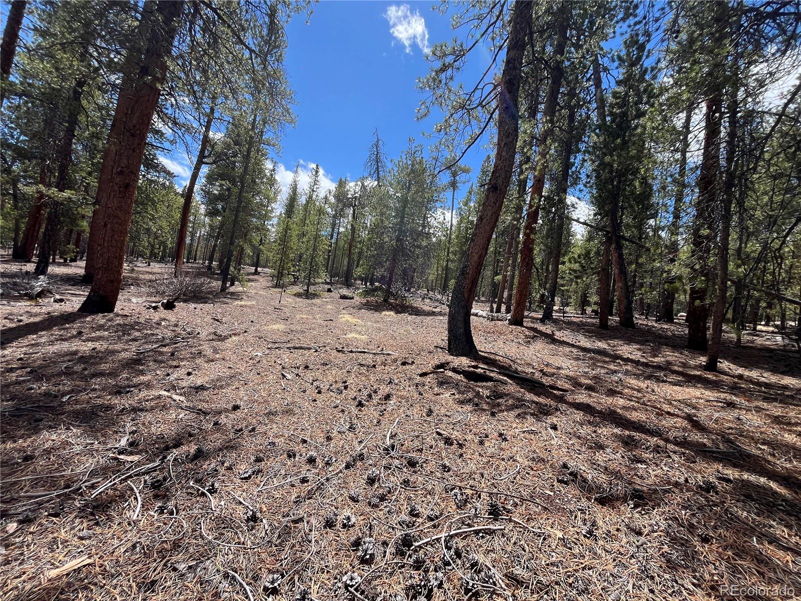 1013 Sequoia Drive Twin Lakes CO 81251