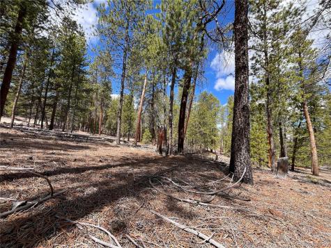 1013 Sequoia Drive Twin Lakes CO 81251