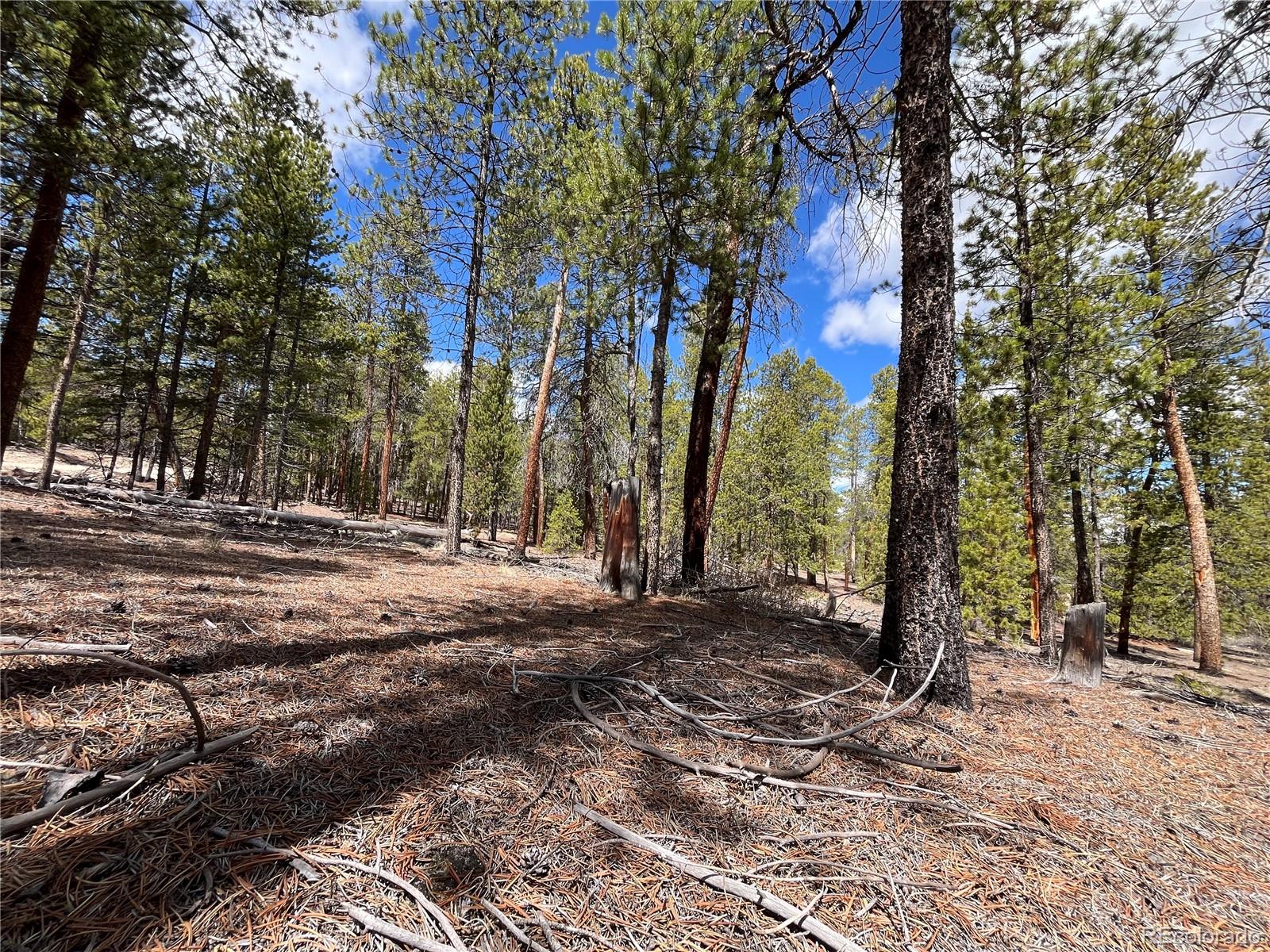 1013 Sequoia Drive Twin Lakes CO 81251