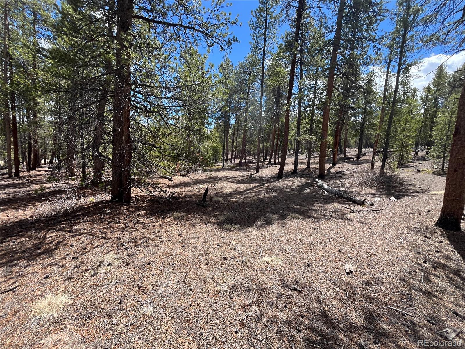 1013 Sequoia Drive Twin Lakes CO 81251