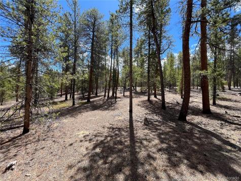 1013 Sequoia Drive Twin Lakes CO 81251