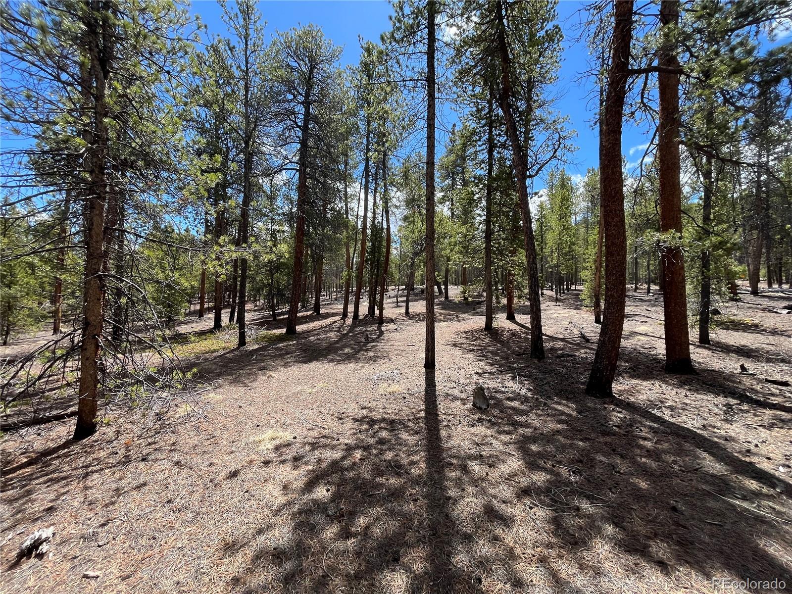 1013 Sequoia Drive Twin Lakes CO 81251