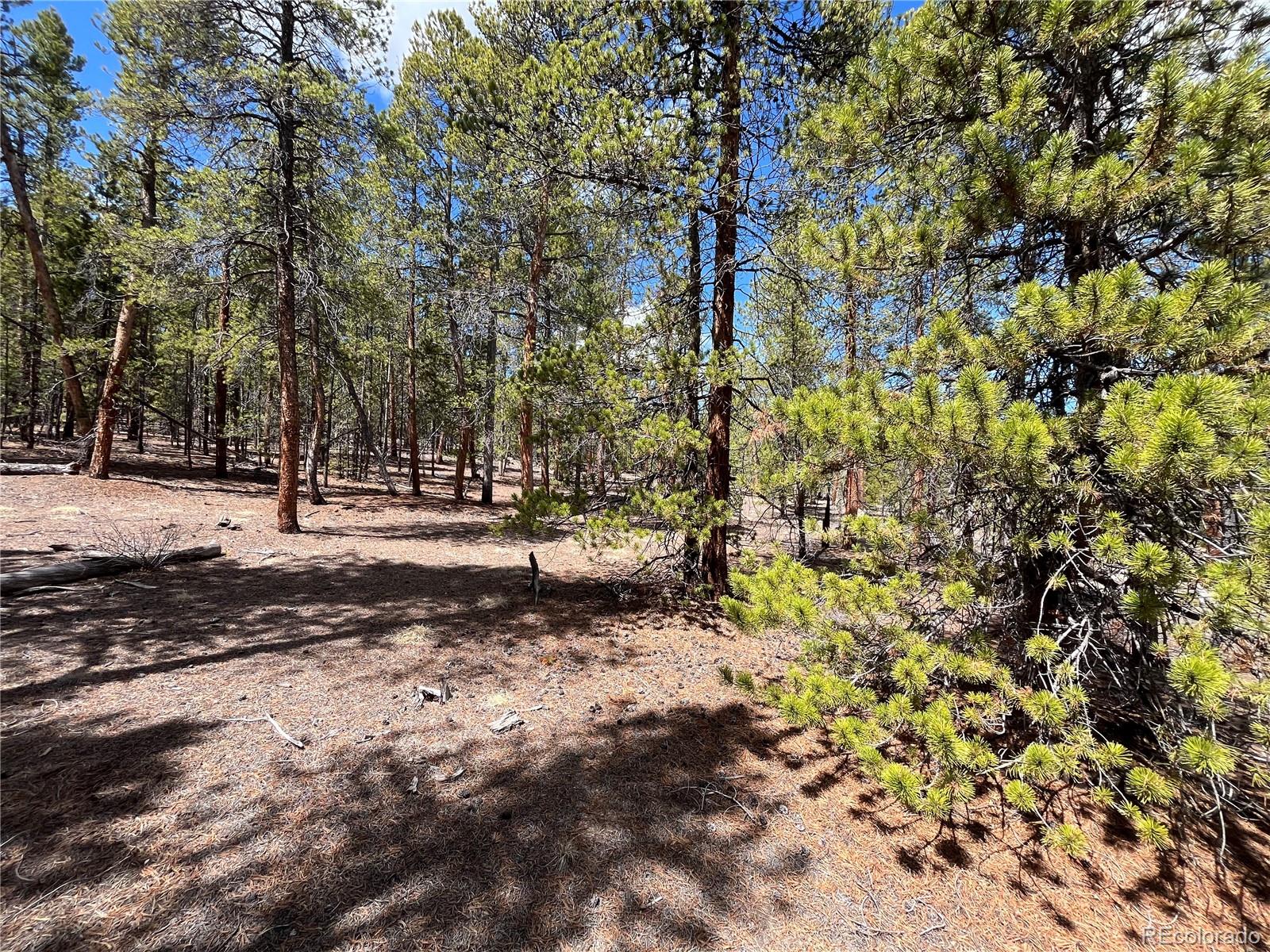 1013 Sequoia Drive Twin Lakes CO 81251