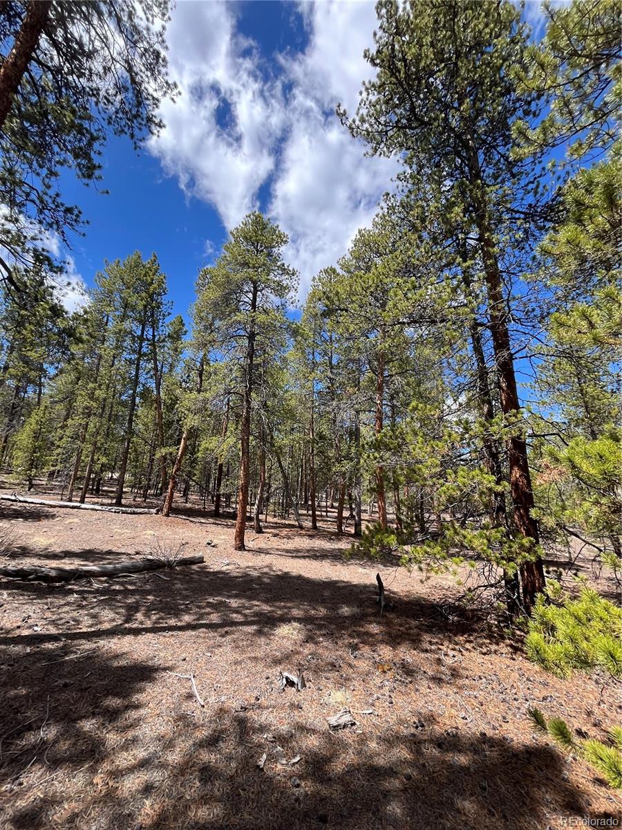 1013 Sequoia Drive Twin Lakes CO 81251