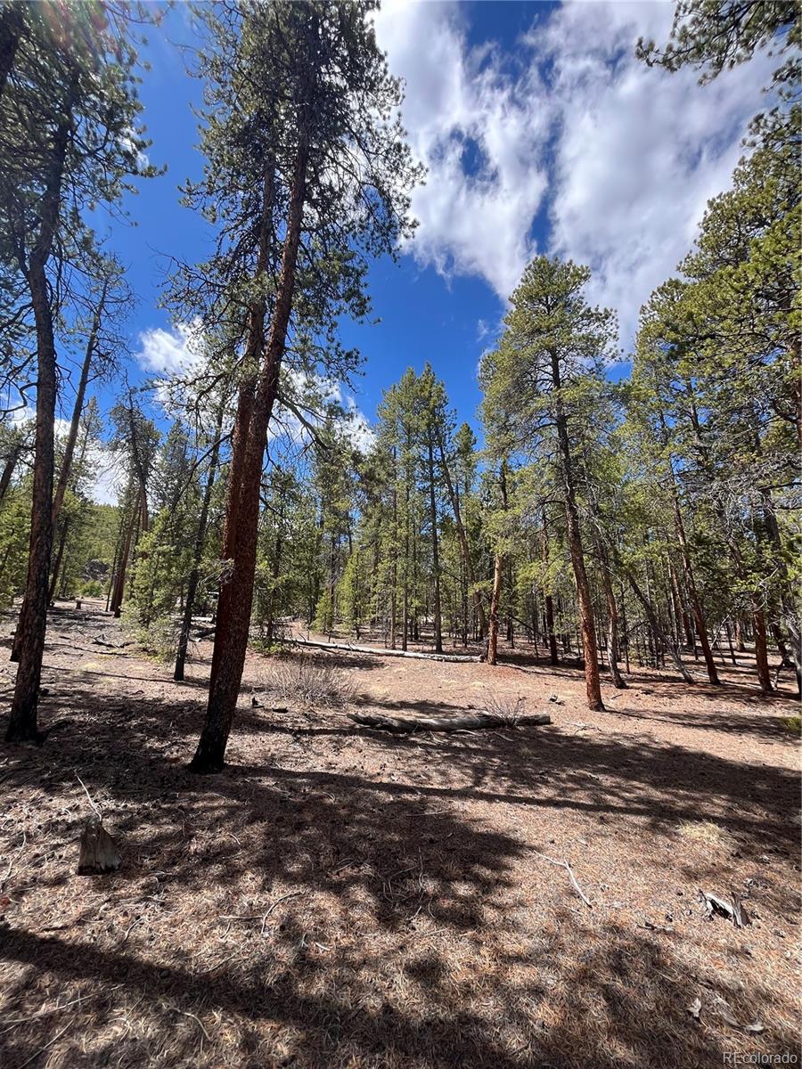 1013 Sequoia Drive Twin Lakes CO 81251