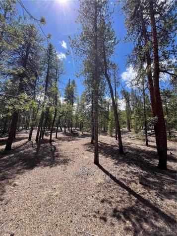1013 Sequoia Drive Twin Lakes CO 81251