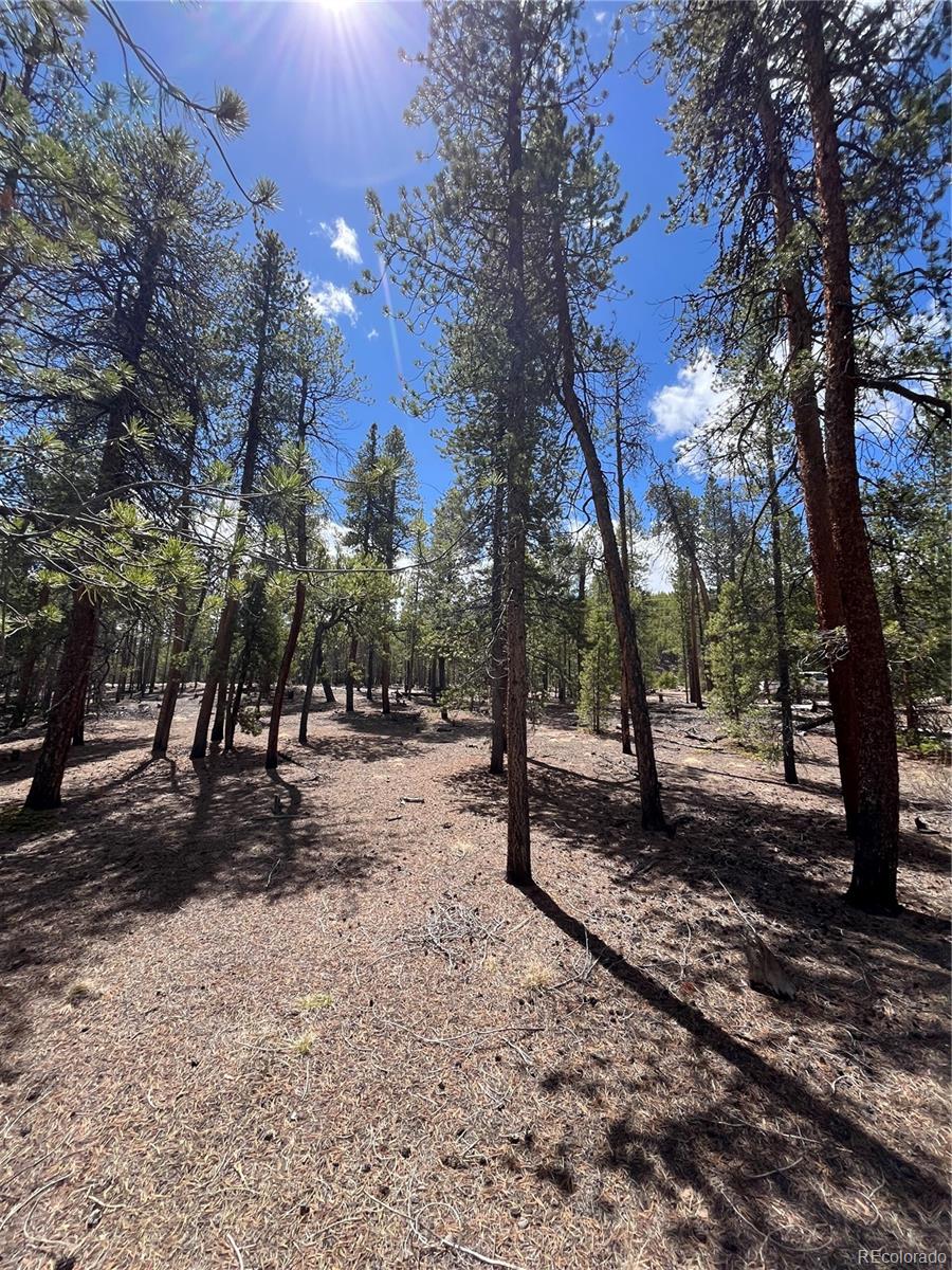 1013 Sequoia Drive Twin Lakes CO 81251
